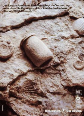 Der jüngste Fund vom Zürichberg legt die Vermutung nahe, dass die Kulturgeschichte Zürichs doch etwas älter als 2000 Jahre ist.