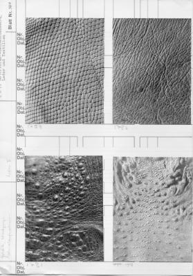 Materialstudien Leder