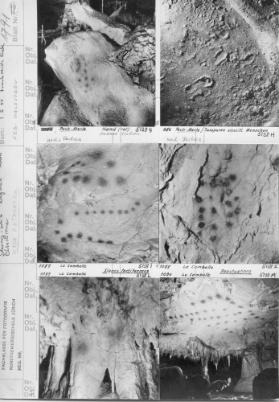 Schulreise Frankreich 1952 Höhlenzeichnung Lascaux