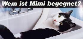 Wem ist Mimi begegnet ?