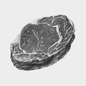 [Fotografie von Fleisch-Illustration]