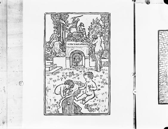 Neuerwerbungen Museum + Bibliothek 1916 - 1918 

