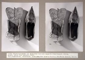 Der Schuh. Die Geschichte seiner Herstellung und seines Gebrauchs 
