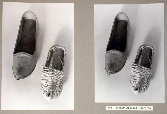 Der Schuh. Die Geschichte seiner Herstellung und seines Gebrauchs 
