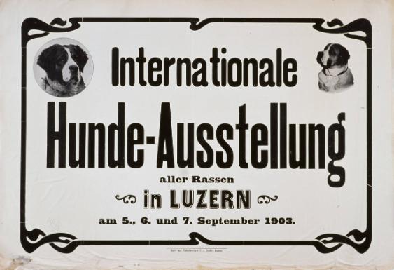 Internationale Hunde-Ausstellung aller Rassen in Luzern