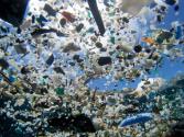 08 Plastiksuppe, in kleine Stücke aufgebrochene Plastikteile, Foto: © NOAA/PIFSC