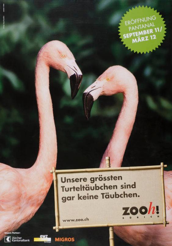 Eröffnung Pantanal - Unsere grössten Turteltäubchen sind gar keine Täubchen - Zooh! Zürich