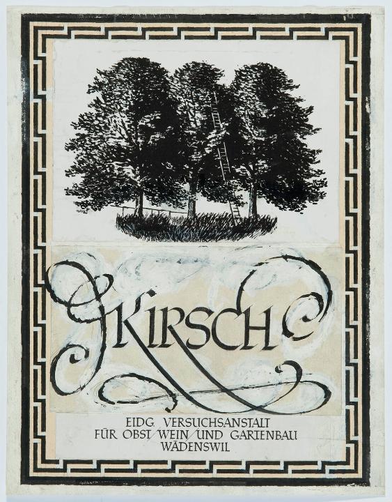 Kirsch