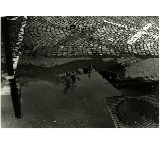 Reflex ohne Pol-Filter 1