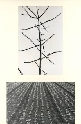 Formen (Natur - Agrikultur)