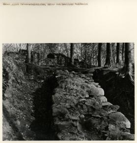 Burgruine Wulp V ; Mauer unter dem heutigen Boden