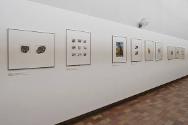 Jack Kunz – Hyperrealismus ; Ausstellungsansicht
