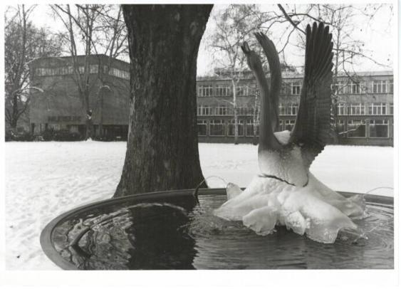 Kunstgewerbeschule, Brunnen mit Schwan (im Eis) beim Eingang B