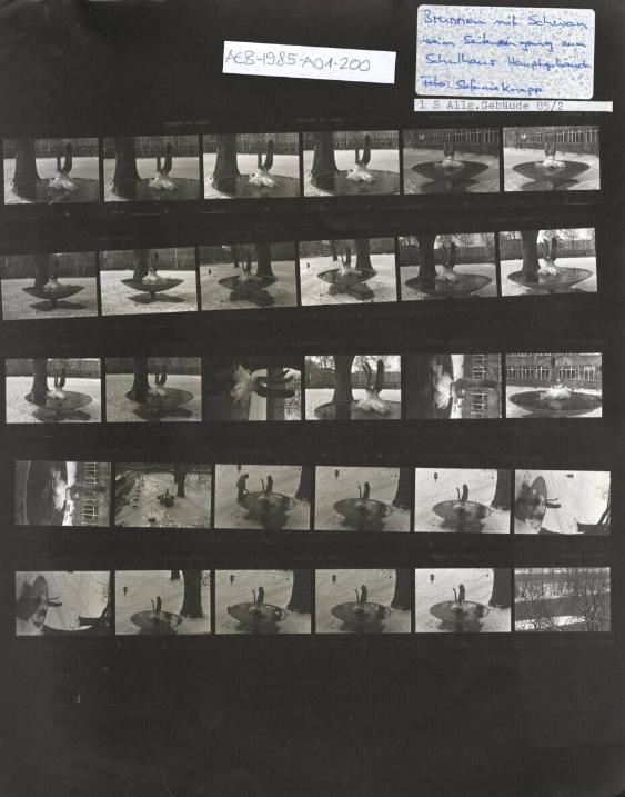 Kunstgewerbeschule, Brunnen mit Schwan (im Eis) beim Eingang B