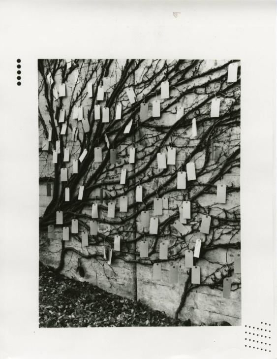 Neujahrsblatt 1979