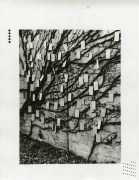 Neujahrsblatt 1979