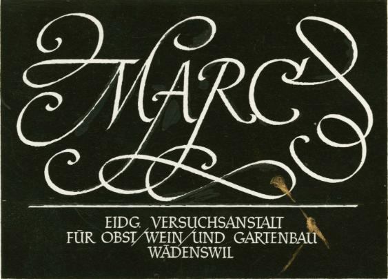 Marc