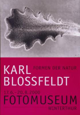 Karl Blossfeld - Formen der Natur - Fotomuseum Winterthur