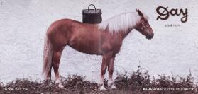 Day Zurich - Bahnhofstrasse 12 Zürich