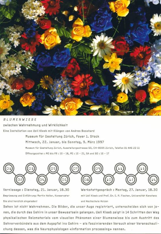 Blumenwiese