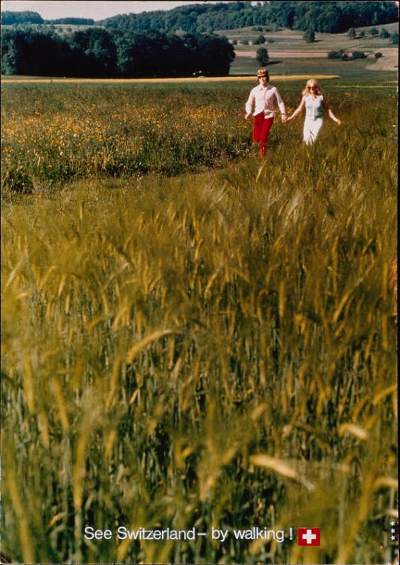 See Switzerland - By Walking!