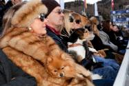 06 Martin Parr, Schweiz, St. Moritz, St. Moritz Polo Schee-Weltmeisterschaft, 2011, 
aus der S…