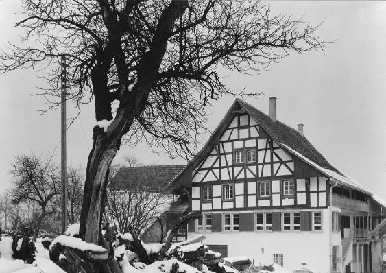 Umbau der alten Mühle Triemli zur Blindenhörbücherei, Januar 65