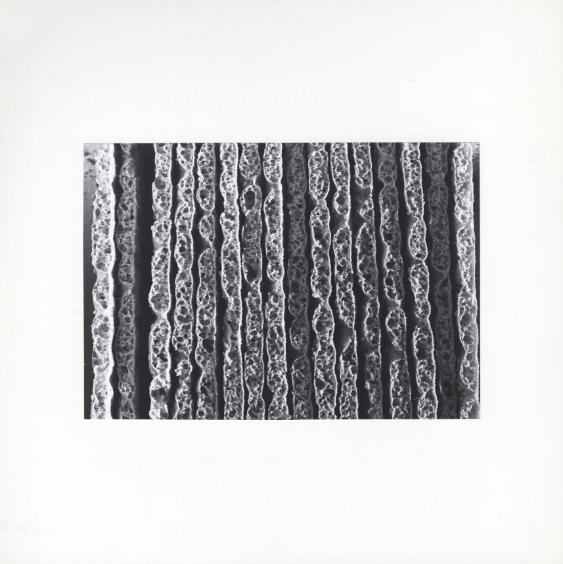 Struktur ; Knäckebrot