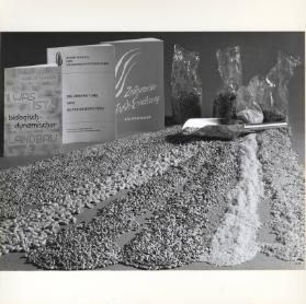 Sachaufnahme ; Getreide