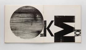 Experiment Buch