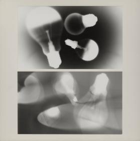 Glühbirnen ; Fotogramme