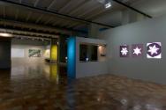Einfach Komplex ; Ausstellungsansicht