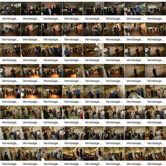 Hans Finsler und die Schweizer Fotokultur, Führung durch die Ausstellung