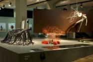 Nature Design - Von Inspiration zu Innovation ; Ausstellungsansicht