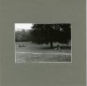 Subjektive "Documenta"-tion ; Kassel 1977