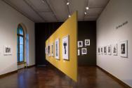 Ausstellung Zeitlos schön im Museum Bellerive, 11. Juli – 19. Oktober 2014, © ZHdK