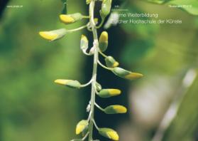 Interne Weiterbildung, Zürcher Hochschule der Künste