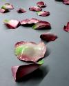 Quynh Dong, Tears of a Swan; bemalte Keramik (Rosenblüten), 2014; courtesy Caldic Collectie, Wa…