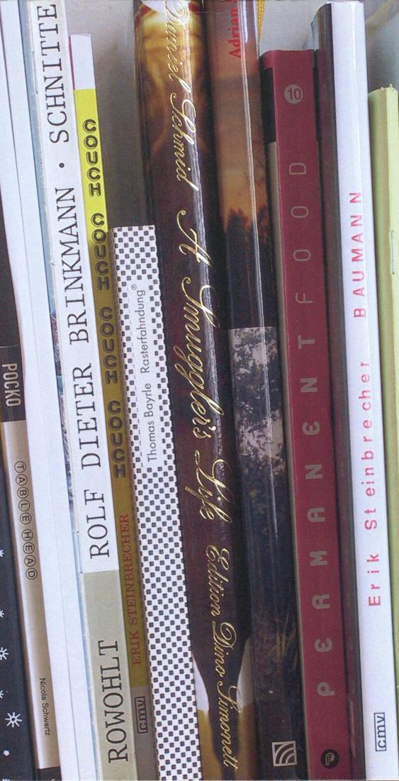 Versuch über die Doppelseite - Die Doppelseite als medialer, ästhetischer Komplex, als einschneidendes visuelles Erlebnis