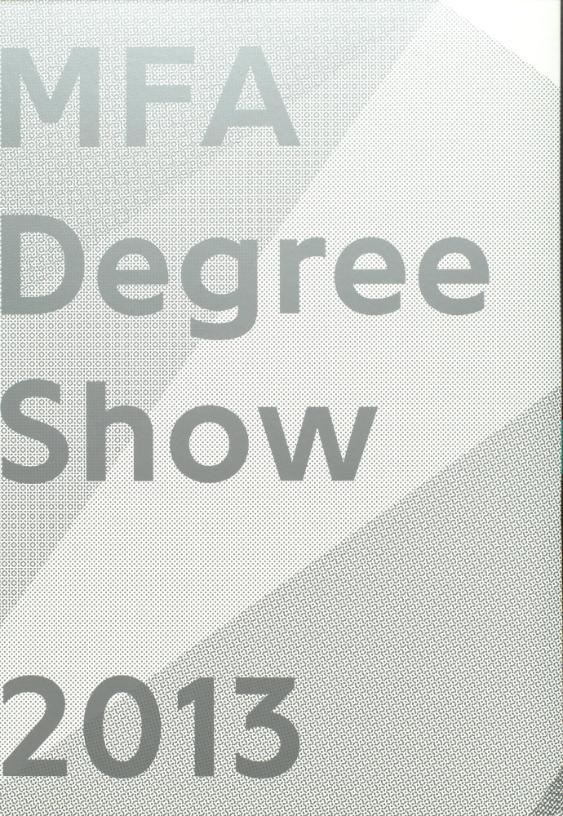 Master Fine Arts Degree Show 2013