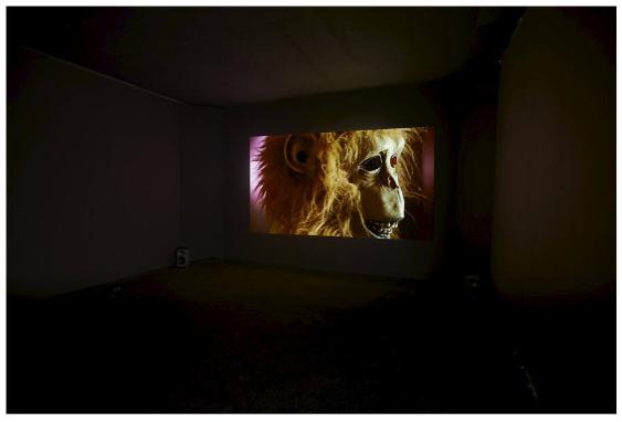 Und oben sitzt ein Affe / Sirocco