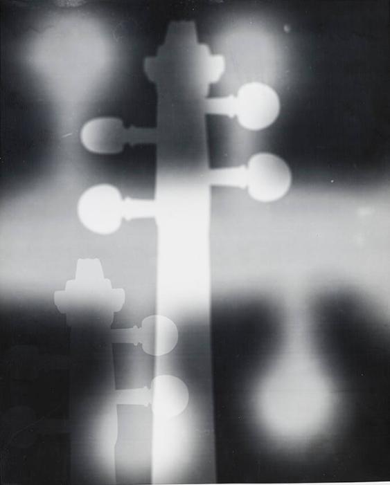 [Tonhalle-Gesellschaft]