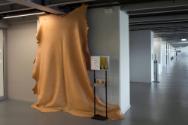 Eingang des Medien- und Informationszentrum der ZHdK mit Kuhfell ; Ausstellung "Leder und tieri…