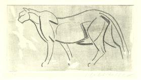 Naturstudien - Tierkompositionen