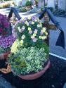 >>Abb Grab mit Blumen. Friedhof Meidling Wien, Foto©Eva Afuhs