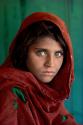 01 Steve McCurry, Sharbat Gula, Afghanisches Mädchen, im Flüchtlingslager Nasir Bagh nahe Pesha…