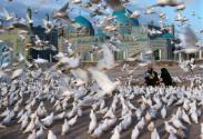 02 Steve McCurry, Blaue Moschee, Mazar-i-Sharif, Afghanistan, 1991, © Steve McCurry / Magnum Ph…