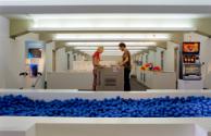 PLAY ; Ausstellungsansicht