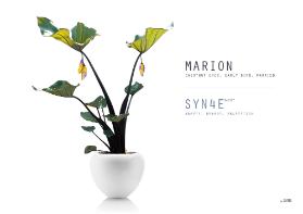 Customized Food. Speculative Design as a Systematic Approach to Techno-Social Issues