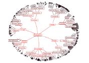 04 Startree (hyperbolisches Datensuchprogramm)
© Jeffrey Heer, Stuart K. Card, Palo Alto Resea…